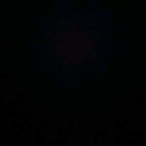 Meet your Posher, Dakota